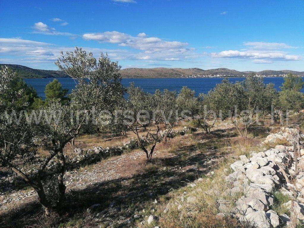 Poljoprivredno zemljište, Prodaja, Šibenik - Okolica, Bilice