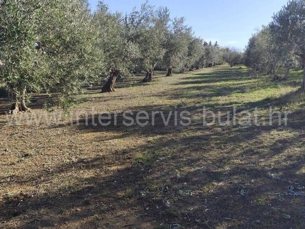 Poljoprivredno zemljište, Prodaja, Skradin, Dubravice