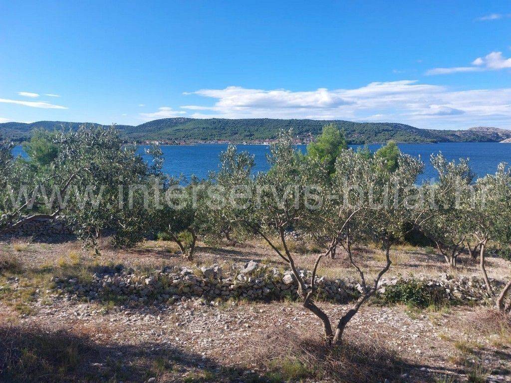 Poljoprivredno zemljište, Prodaja, Šibenik - Okolica, Bilice