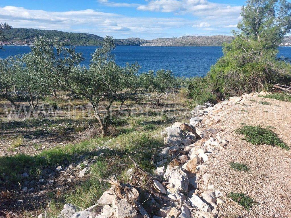 Poljoprivredno zemljište, Prodaja, Šibenik - Okolica, Bilice