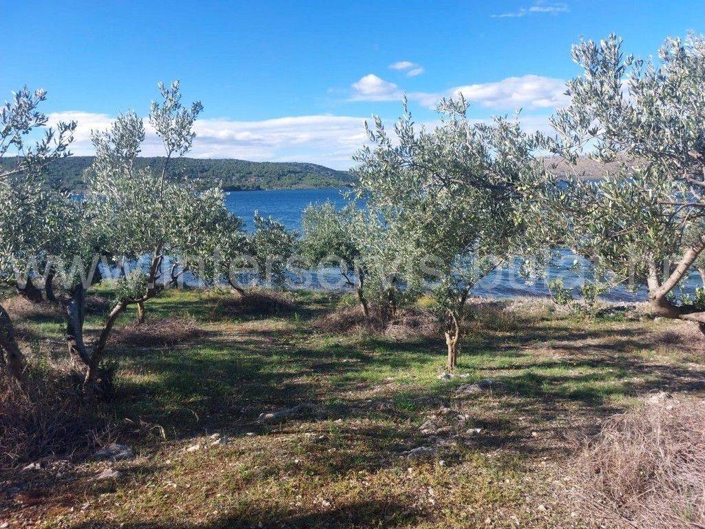 Poljoprivredno zemljište, Prodaja, Šibenik - Okolica, Bilice