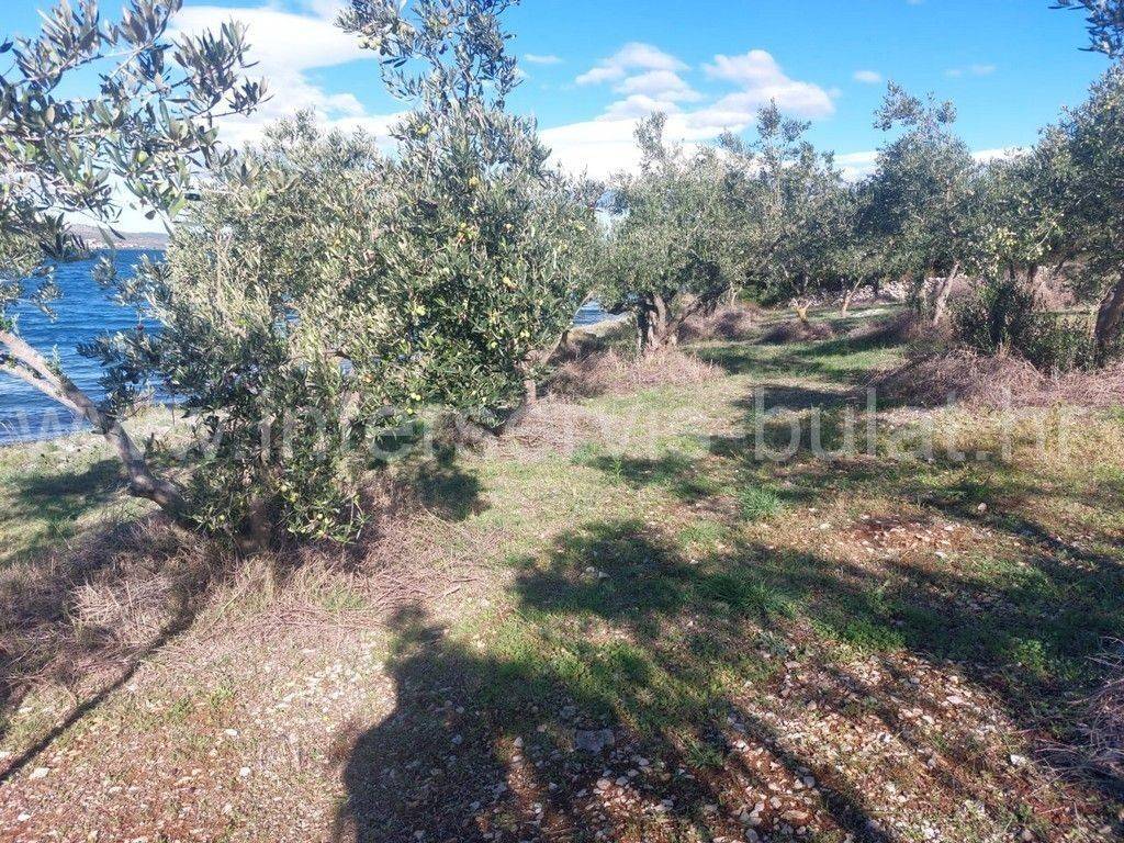 Poljoprivredno zemljište, Prodaja, Šibenik - Okolica, Bilice