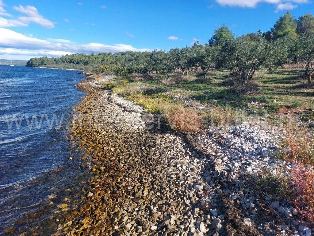 Poljoprivredno zemljište, Prodaja, Šibenik - Okolica, Bilice