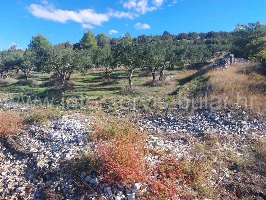 Poljoprivredno zemljište, Prodaja, Šibenik - Okolica, Bilice