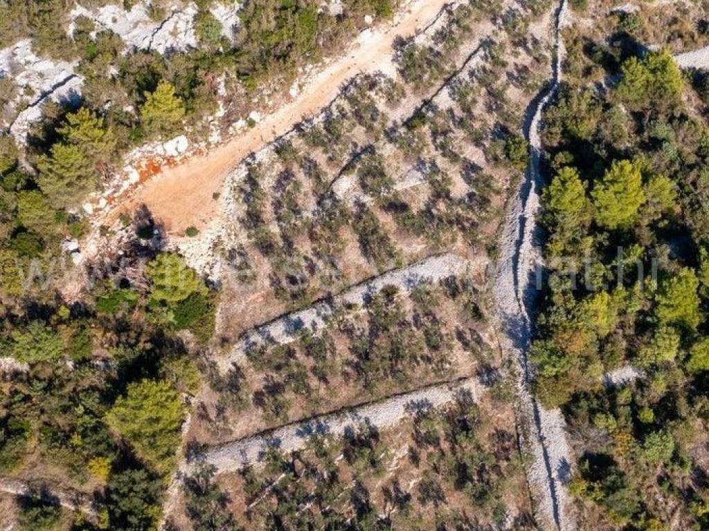 Poljoprivredno zemljište, Prodaja, Šibenik - Okolica, Bilice