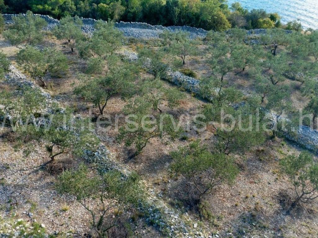 Poljoprivredno zemljište, Prodaja, Šibenik - Okolica, Bilice