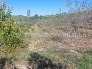 Poljoprivredno zemljište, Prodaja, Skradin, Dubravice