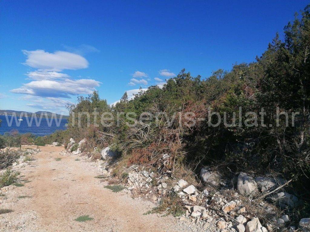 Poljoprivredno zemljište, Prodaja, Šibenik - Okolica, Bilice