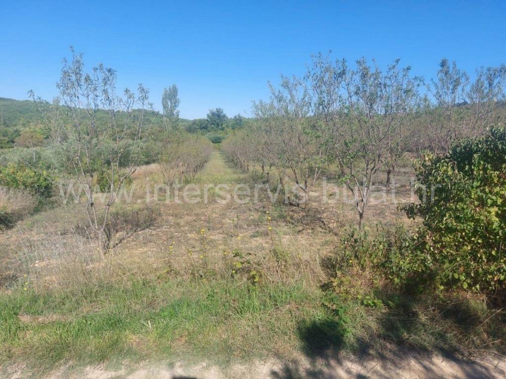 Poljoprivredno zemljište, Prodaja, Skradin, Dubravice