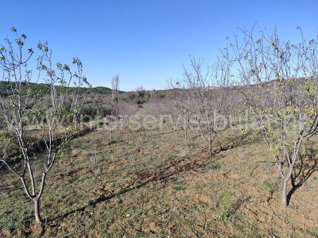 Poljoprivredno zemljište, Prodaja, Skradin, Dubravice