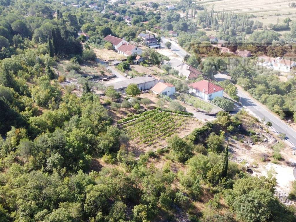 Imotski, Imotski