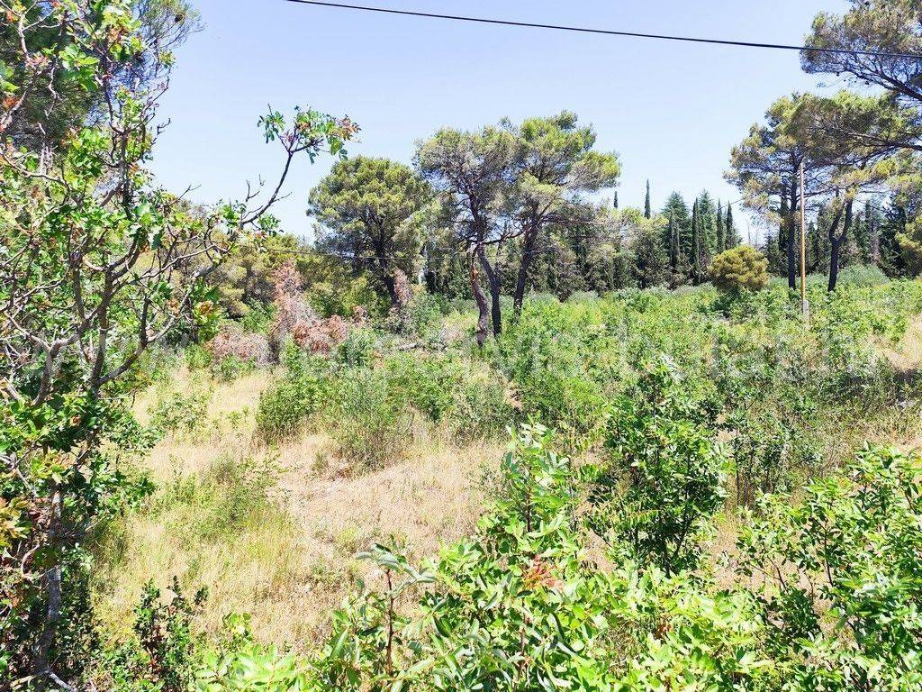 Građevinsko zemljište, Prodaja, Šibenik - Okolica, Bilice