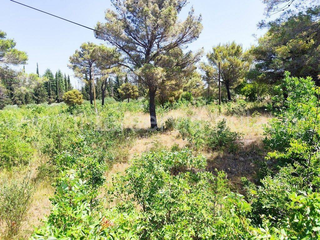 Građevinsko zemljište, Prodaja, Šibenik - Okolica, Bilice