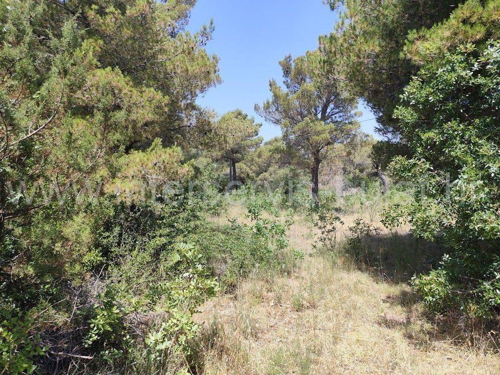 Građevinsko zemljište, Prodaja, Šibenik - Okolica, Bilice