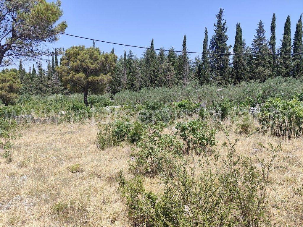 Građevinsko zemljište, Prodaja, Šibenik - Okolica, Bilice