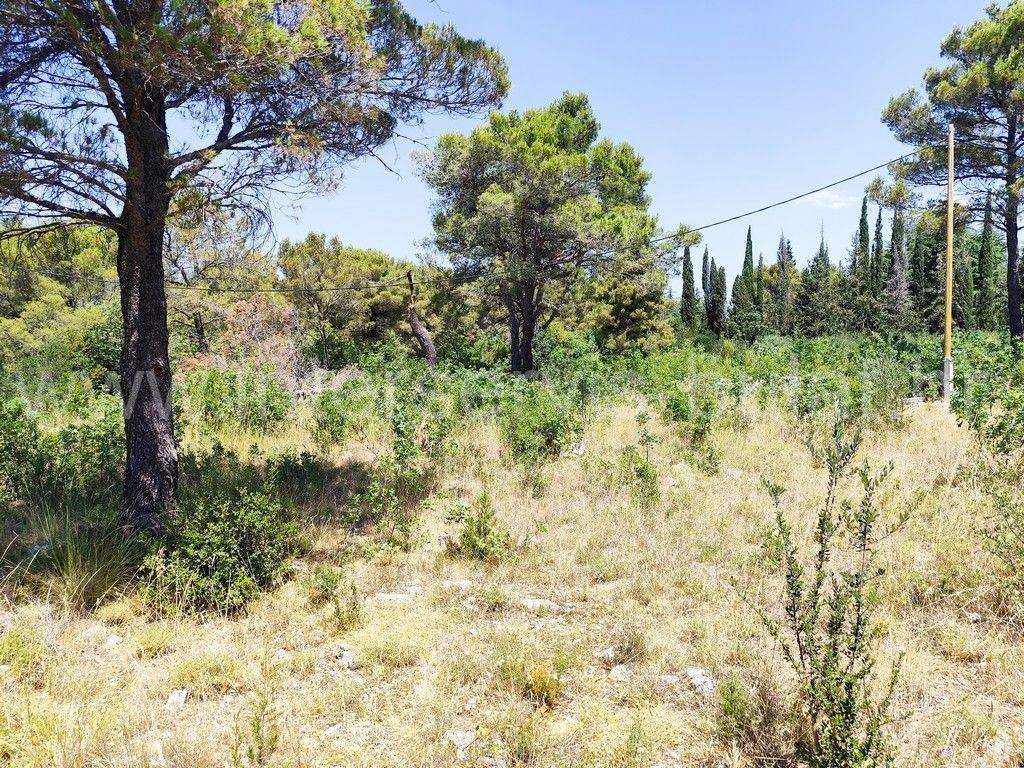 Građevinsko zemljište, Prodaja, Šibenik - Okolica, Bilice