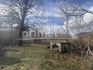 Saborsko, Licka Jesenica