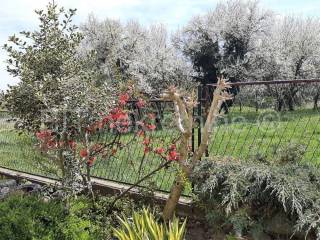 Kuća prizemnica, Prodaja, Sokolovac, Srijem