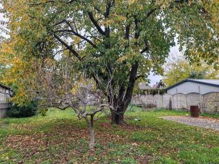 Šenkovec, Šenkovec