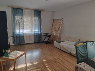 Šenkovec, Šenkovec