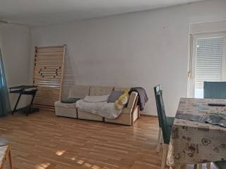 Šenkovec, Šenkovec