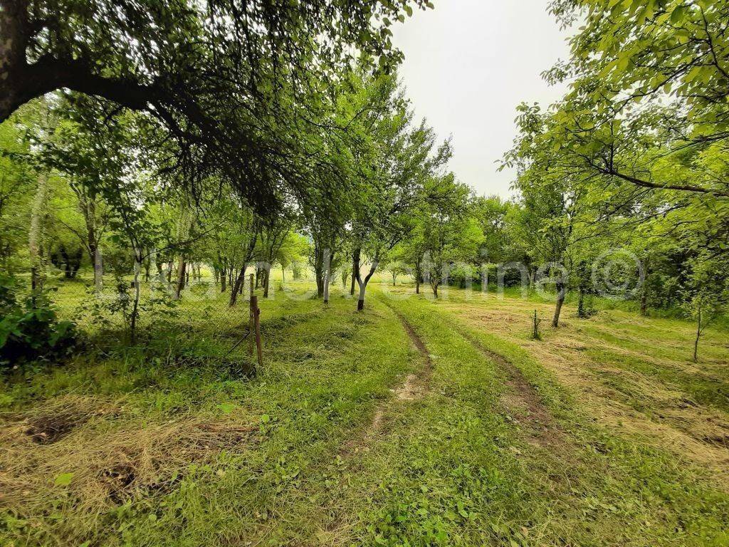 Seosko imanje, Prodaja, Otočac, Glavace