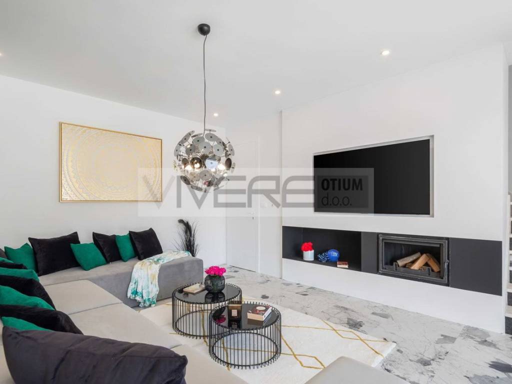 Living room with fireplace