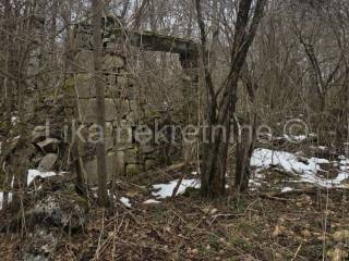 Perušić, Perušić