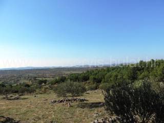 Građevinsko zemljište, Prodaja, Skradin, Piramatovci