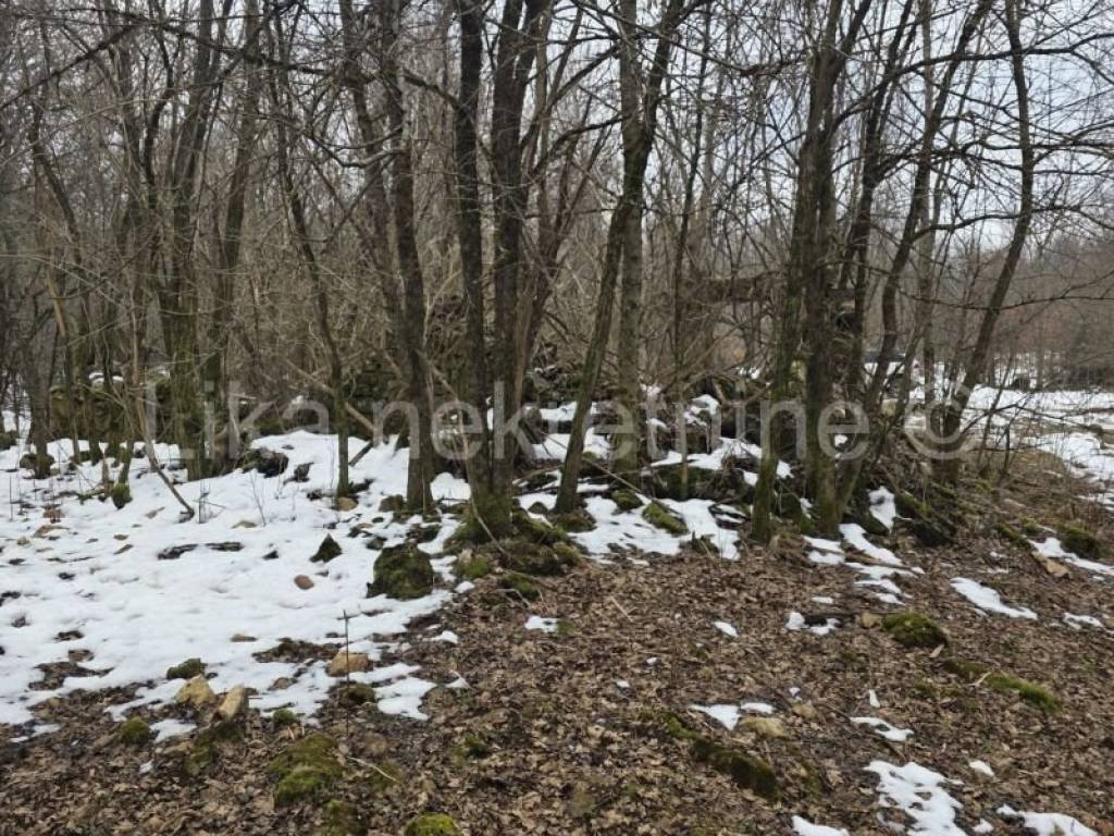 Perušić, Perušić