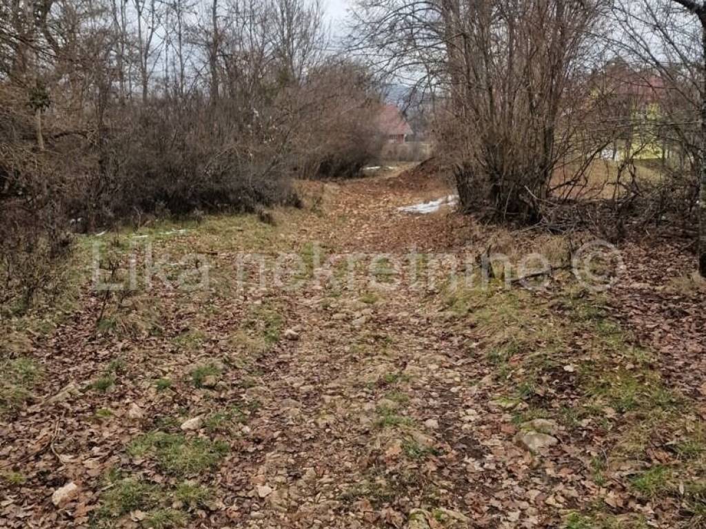 Perušić, Perušić