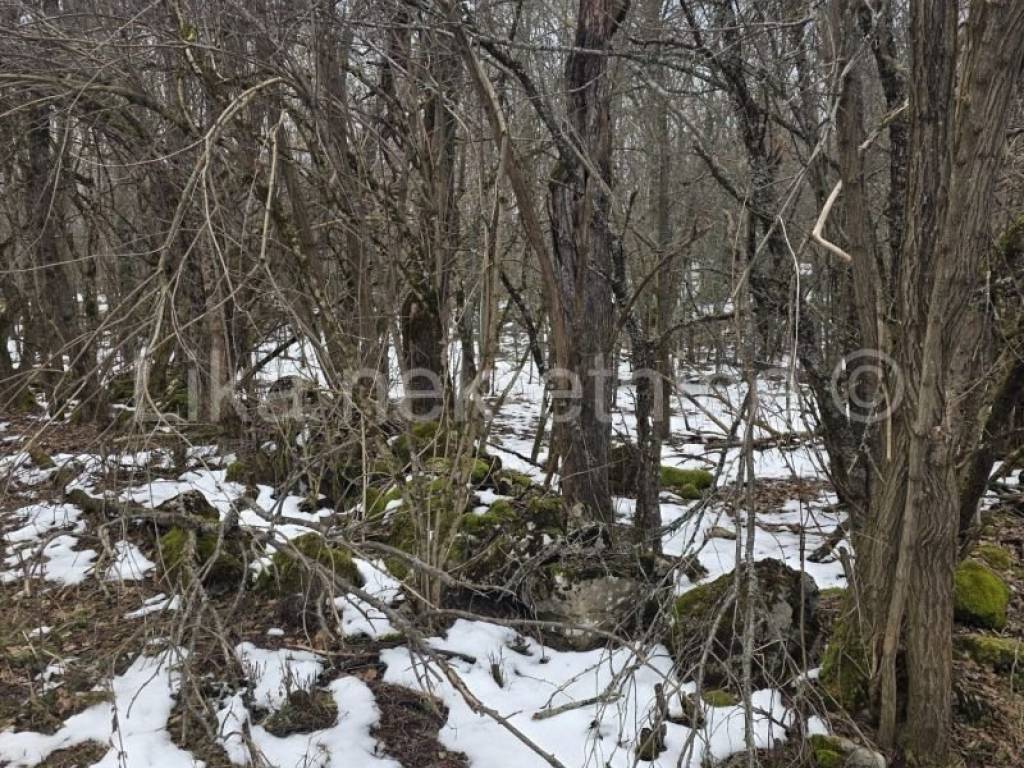 Perušić, Perušić