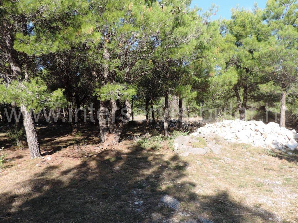 Građevinsko zemljište, Prodaja, Skradin, Piramatovci