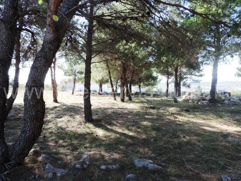 Građevinsko zemljište, Prodaja, Skradin, Piramatovci