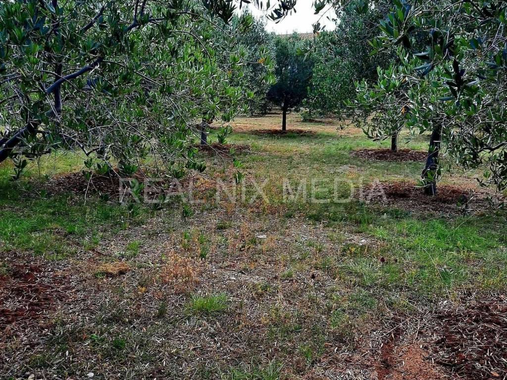 Samostojeća kuća, Prodaja, Vir, Vir