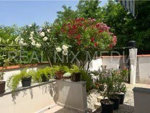 Dvojna kuća, Prodaja, Nin, Nin