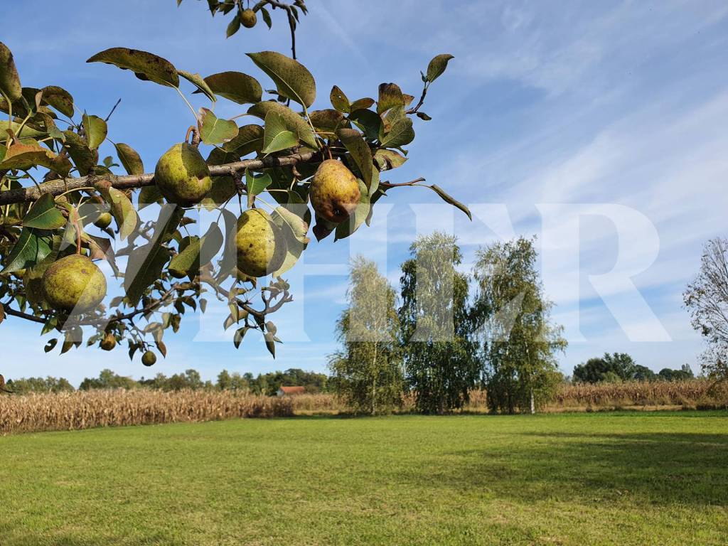 Zagreb - Okolica, Brezovica