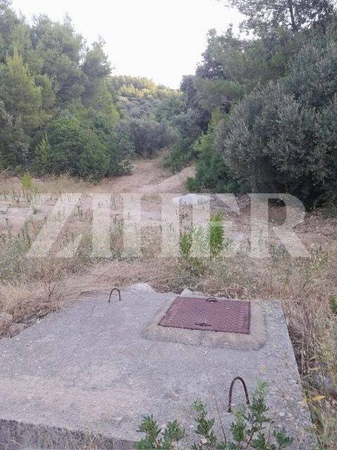 Poljoprivredno zemljiste, Prodaja, Blato, Blato