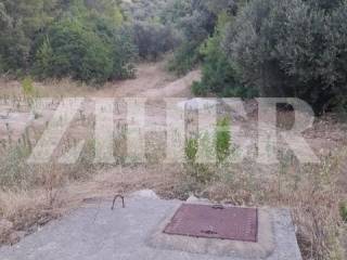 Poljoprivredno zemljiste, Prodaja, Blato, Blato