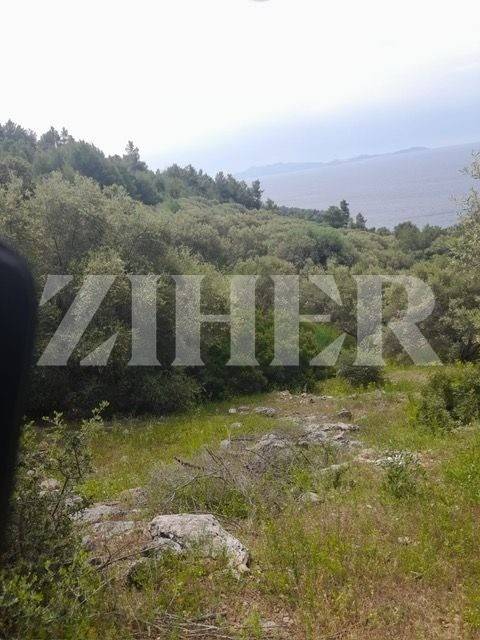 Poljoprivredno zemljiste, Prodaja, Blato, Blato