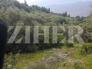 Poljoprivredno zemljiste, Prodaja, Blato, Blato