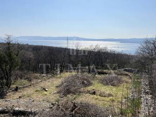 Crikvenica, Crikvenica