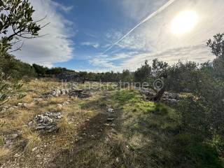 Agricultural plot, Sale, Sutivan, Sutivan