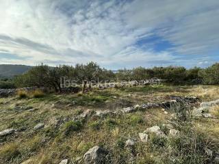 Agricultural plot, Sale, Sutivan, Sutivan