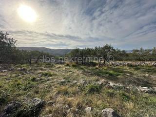 Agricultural plot, Sale, Sutivan, Sutivan
