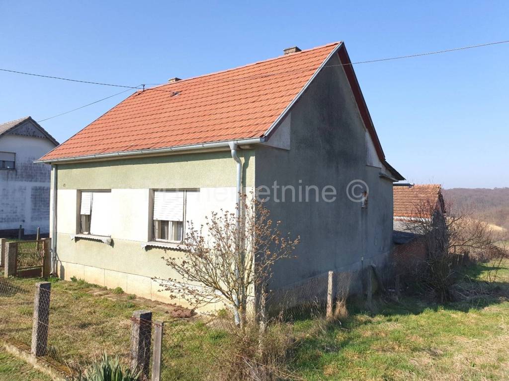 Sveti Ivan Zabno, Sveti Ivan Zabno