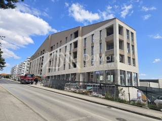 Zadar, Zadar