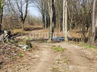 Tounj, Trzic Tounjski