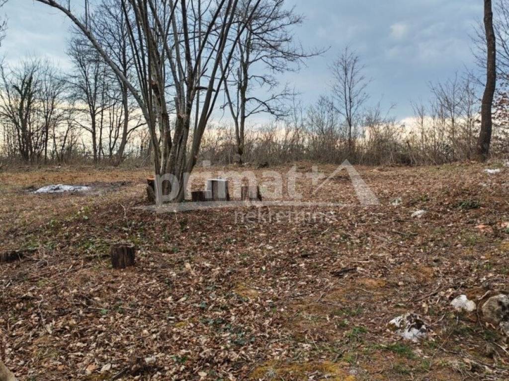 Tounj, Trzic Tounjski