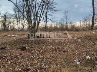 Tounj, Trzic Tounjski